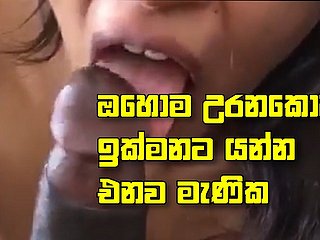 Srilankan generalized blowjob terbaik-urna nang